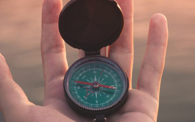 Kompass som symbol för att VD:n Johanna Ragnartz bytt bransch tre gånger